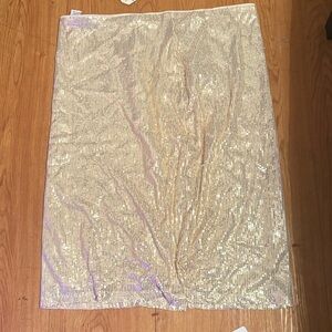 Elegant Sequin Skirt in Silver